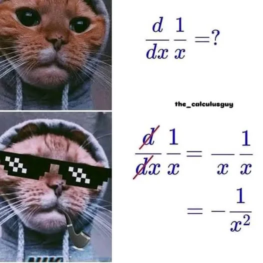 541335764_779045664721478_5947049456989246948_n.webp