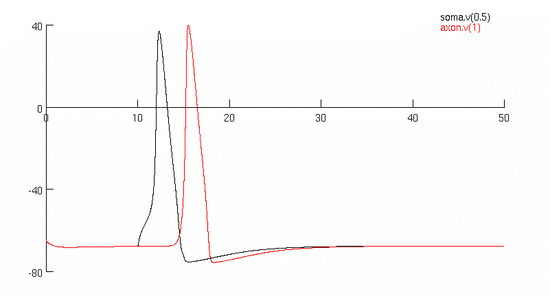 550px-NEURON_Plot.png