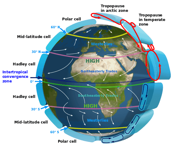 575px-Earth_Global_Circulation_-_en.svg.png
