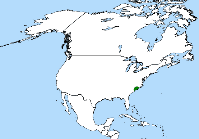 640px-Dionaea_distribution_%28revised%29.svg.png