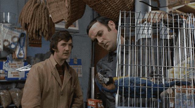 640px-Monty_Python%2C_Dead_Parrot.png