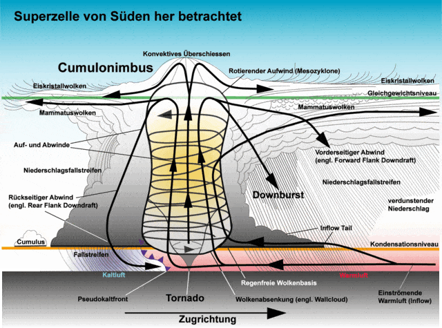 640px-Superzelle_schema.gif