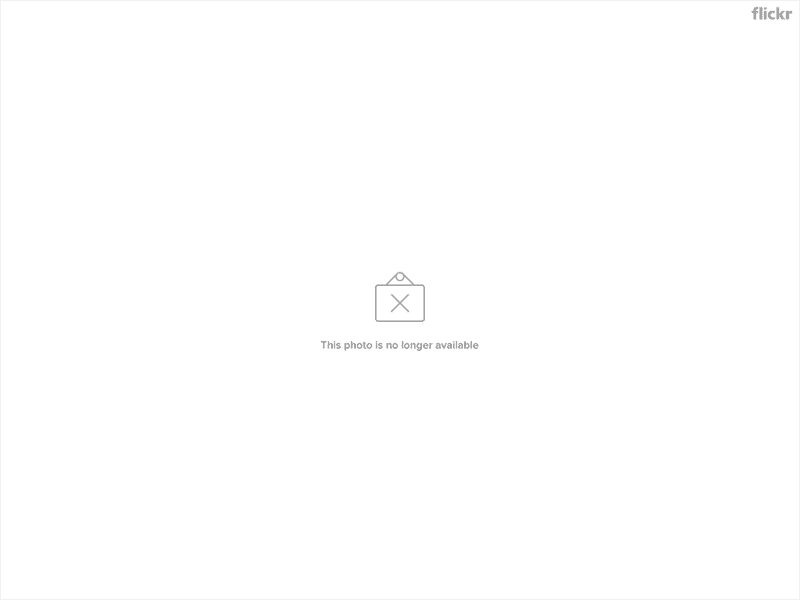 73693067_9a715866bd_o.jpg