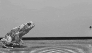 77rC.gif