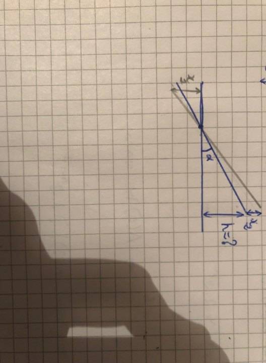 79746874_486934008605064_4796174431661588480_n.jpg