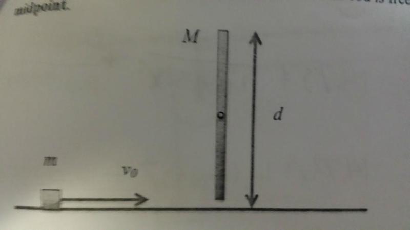 7Qid451.jpg