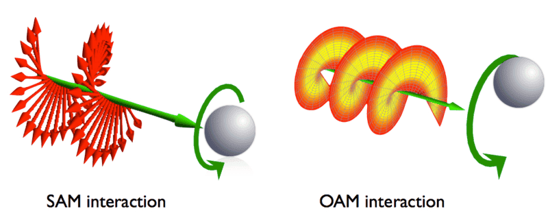 800px-Sam-oam-interaction.png