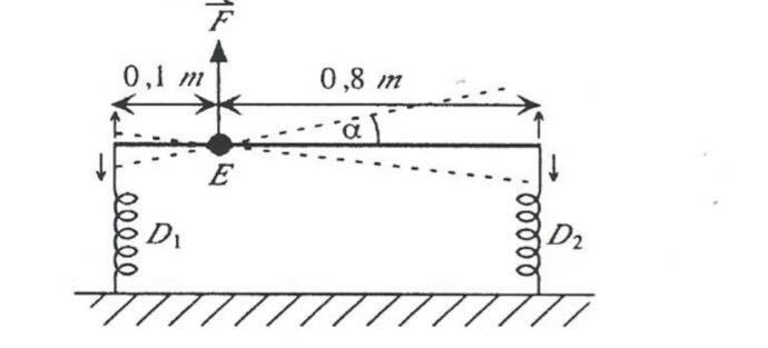 80498195_586699238747720_570101963027382272_n.jpg