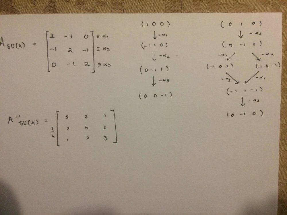 83052426_998197147219953_6309952079091728384_n.jpg 83052426_998197147219953_6309952079091728384_n.jpg