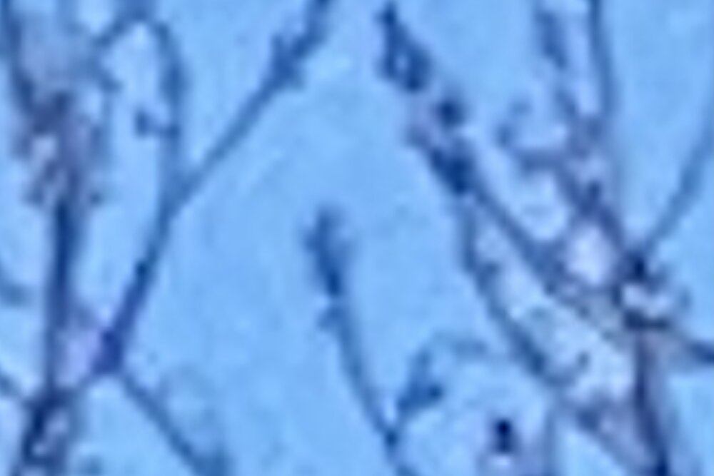 9406C512-3ADA-455C-B173-A2F83F4F53AD.jpeg