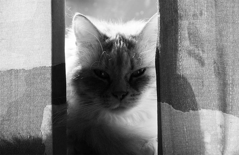 973-m1-BW(x800).jpg