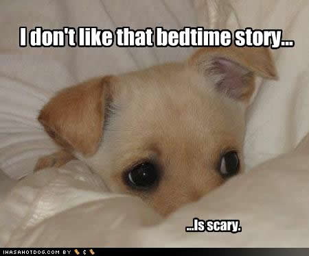 99420286_cute-puppy-pictures-story-scary.jpg