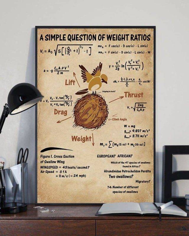 A QUESTION OF WEIGHT RATIOS.jpg