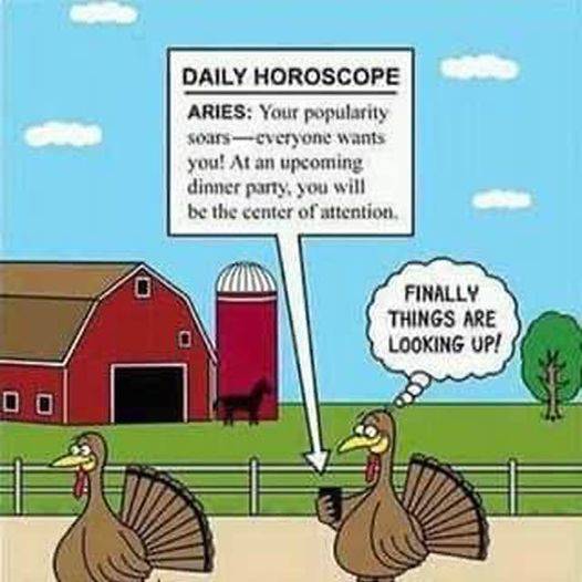 A Turkey being the center of attention at dinner.jpg