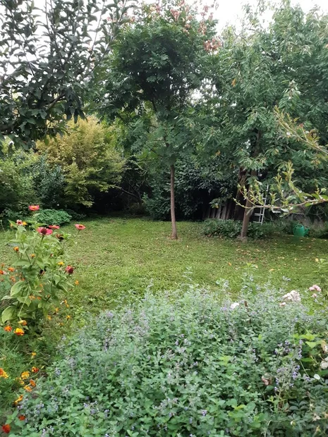 a20250914_072205.webp
