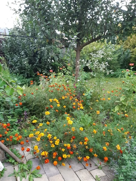 a20250914_072216.webp