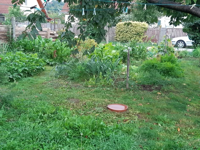 a20250914_072347.webp
