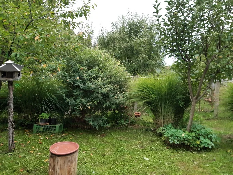 a20250914_072510.webp