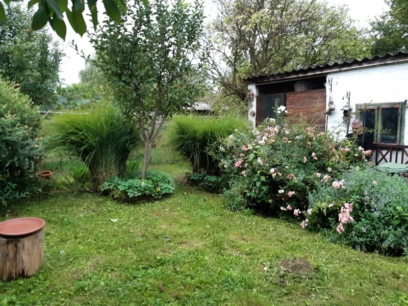 a20250914_072522.webp