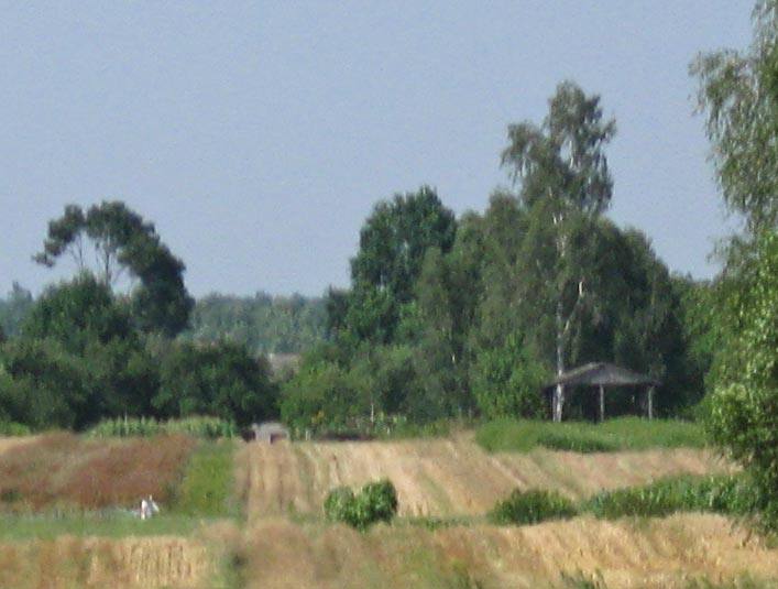 a590_zoom.jpg