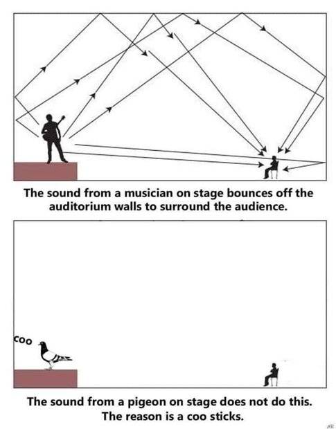acoustics.jpg