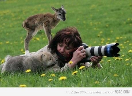 adorable-animals-baby-baby-deer-baby-wolf-Favim.com-280913.jpg