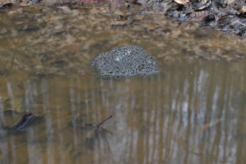 aDSC_0385.jpg