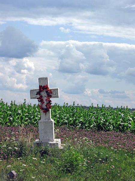 aIMG_0322.jpg