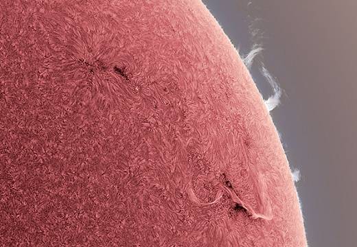 Alan-Friedman-rose_sun_072321_1627165074_strip.jpg