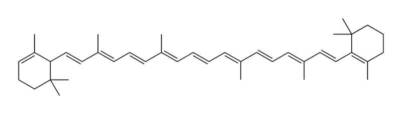 Alpha-carotene-2D-skeletal.png