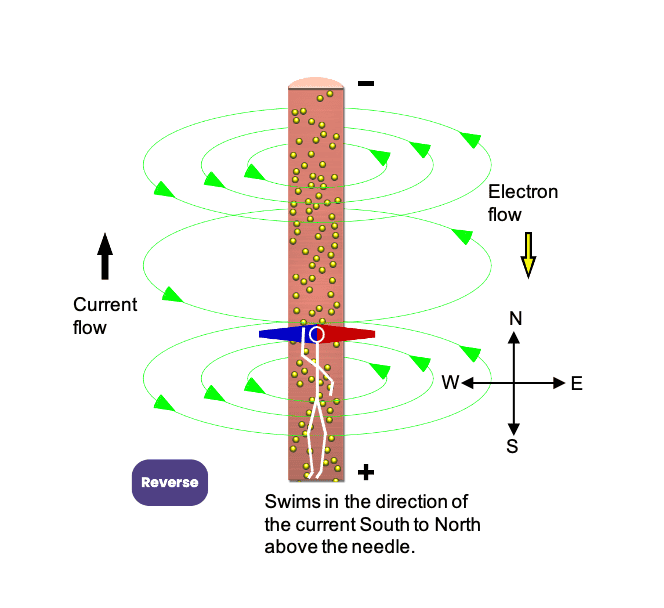 Ampere_Swimming_Rule.png