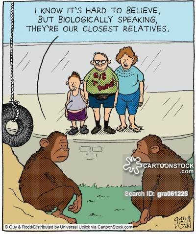 animals-biology-scientific-relative-closest_relative-monkey-gra061225_low.jpg