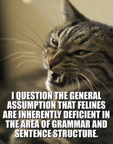anti-lolcat1.jpg