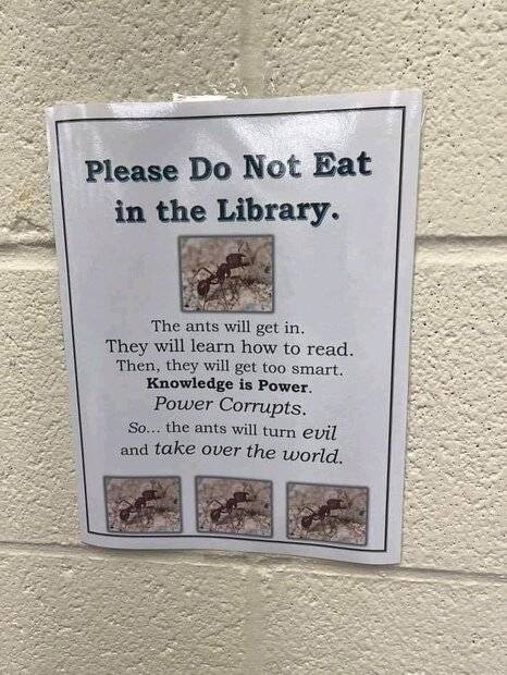 Ants.jpg