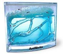 antworks.jpg
