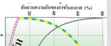 anyone.read.thai.jpg