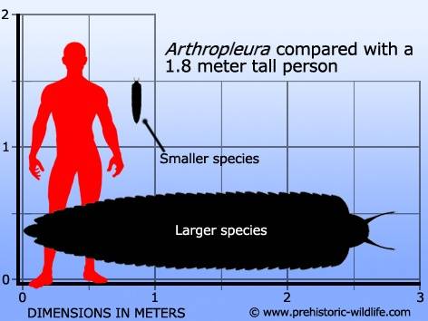 arthropleura-size.jpg