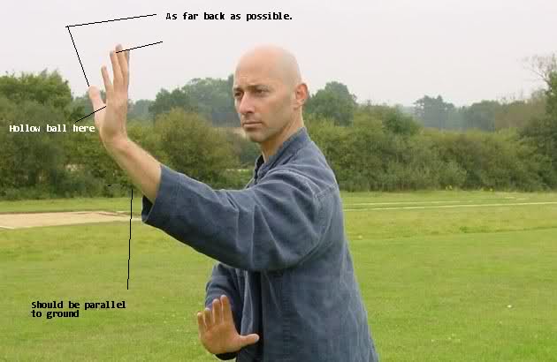 atqon.jpg