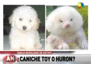 attachment.php?attachmentid=57651&d=1365464765.jpg