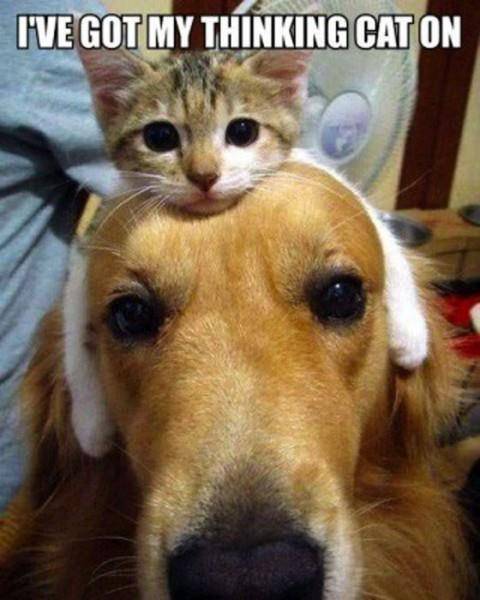attachment.php?attachmentid=60607&stc=1&d=1375314778.jpg