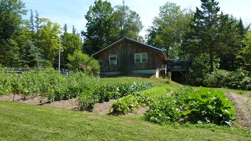 aug2010garden.jpg