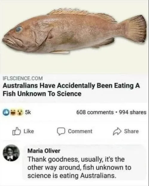 australian-fish.webp