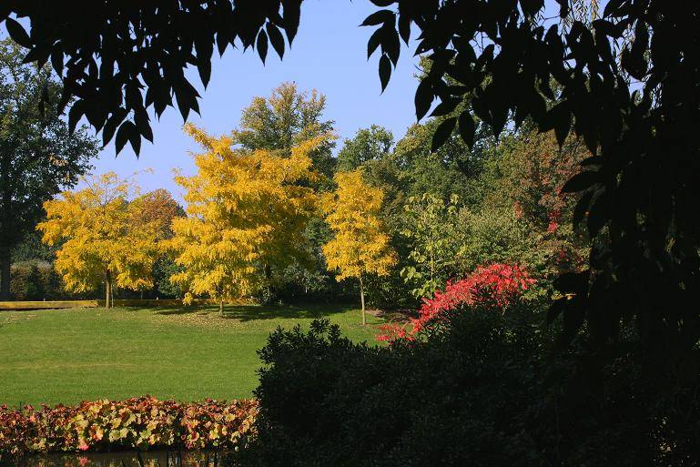 autumn.JPG