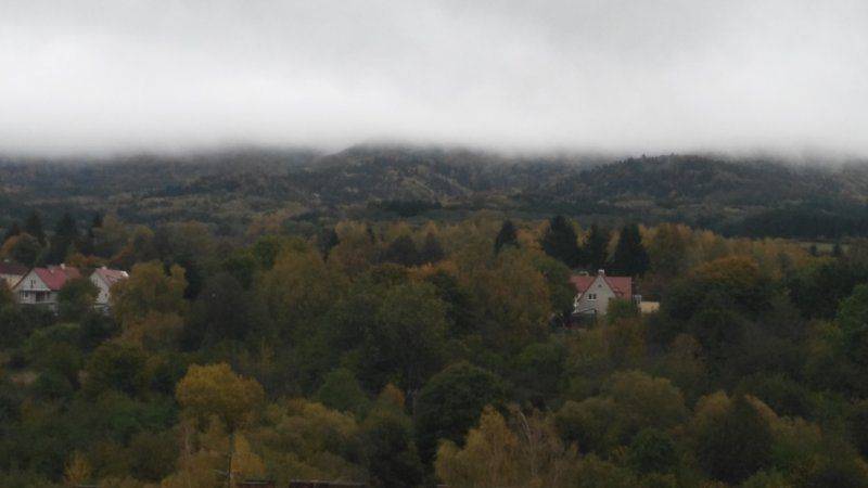 autumn1.jpg