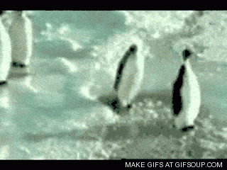 b90b2ce7d1661ce350d79564936f57a0.gif