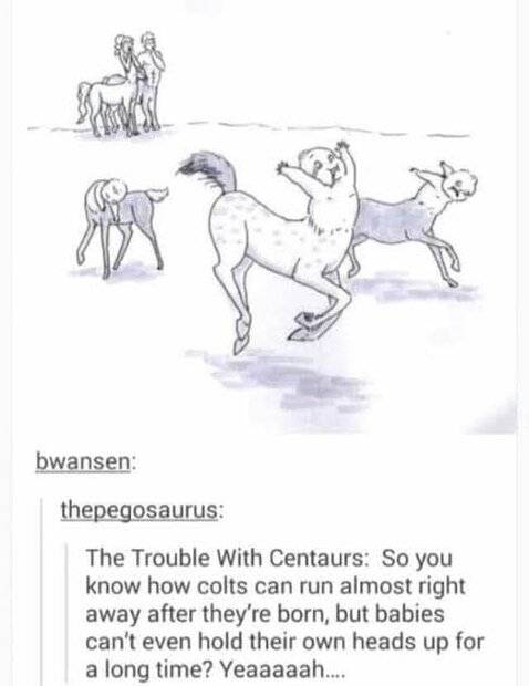 baby-centaur.jpg
