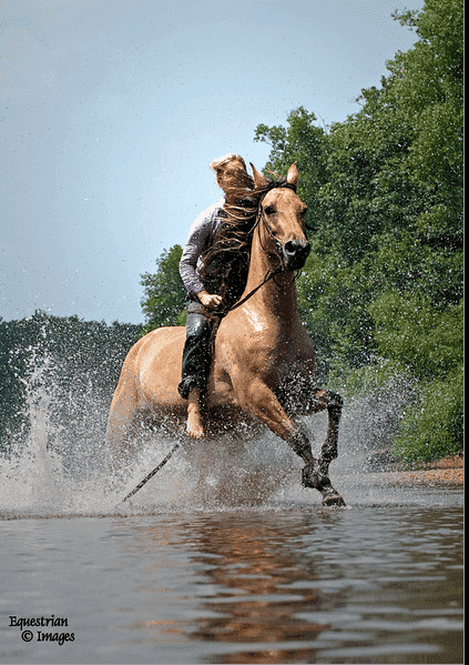 bareback.png
