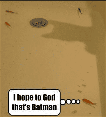 batmanfish.png