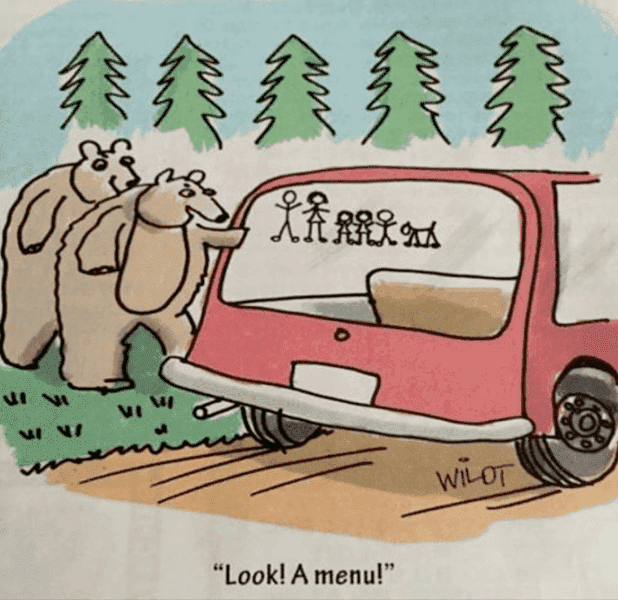 bear joke.PNG