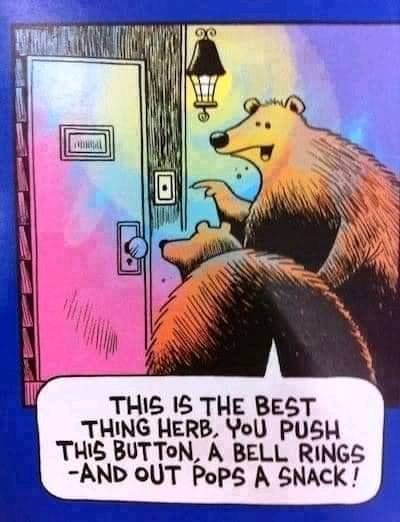 Bear snack.jpg